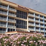 Doubletree Beach Resort By Hilton Tampa Bay - North Redington Beach pics,photos