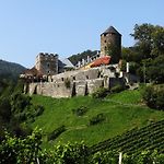 Burg Deutschlandsberg pics,photos