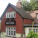 The Red Lion pics,photos