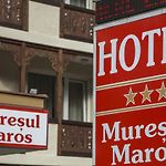 Hotel Muresul Health Spa pics,photos