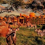 Disney'S Animal Kingdom Lodge pics,photos