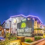The Lemon Tree Hotel pics,photos