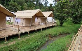 Canopy Glamping Park