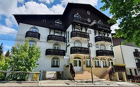 Pensiunea Alpin Guest House