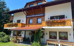 Hotel Friedemann  3*