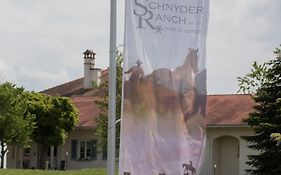 Schnyder Ranch Ravensburg