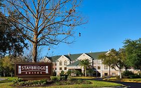 Staybridge Suites Orlando Airport South  3* United States