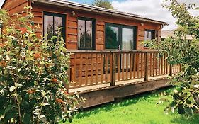 The Holford Arms Chalets And Glamping photos Exterior