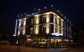 Hotel Surur