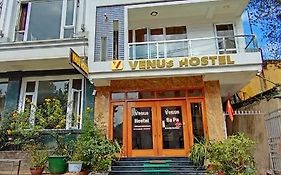 Venus Sapa Hostel