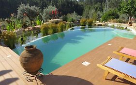 Casa Azul Self-Catering Apartment With Gorgeous Biological Swimming Pool