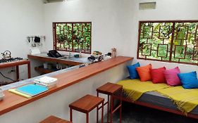 Bolita Rainforest Hostel And Cabinas photos Exterior