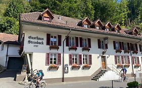 Historic Hotel Steinbock
