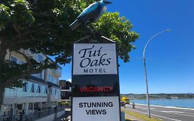 Tui Oaks Motel in Taupo
