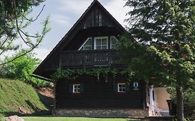 Ferienhaus am Keltenkogel