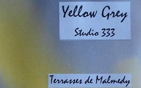 Les Terrasses De Malmedy Studio 333 Yellow Grey