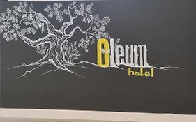 Hotel Oleum  2*
