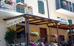 Hotel Picchio  3*