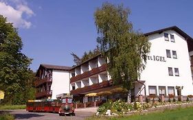 Hotel Igel Püchersreuth