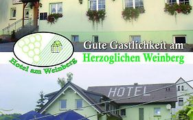 Hotel am Weinberg Freyburg