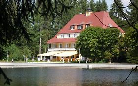 Waldsee Hotel Lindenberg