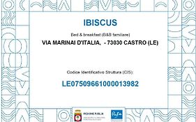 Ibiscus Castro
