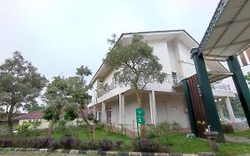 Green Forest Resort Villa