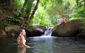 Chachagua Rainforest Hotel & Hot Springs photos Exterior