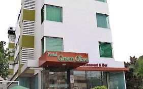 Hotel Green Olive Aurangabad 3*