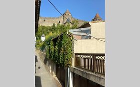 Maison au pied de la cité médiévale de Carcassonne