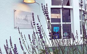 Whitecliff Guest House Weymouth 3*