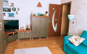 Cozy Apartment Bukovina