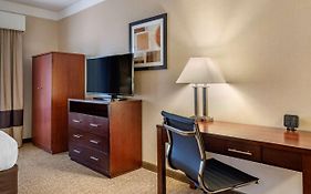 Comfort Suites Linn County Fairground And Expo Albany Or
