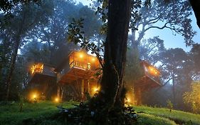 Nature Zone Jungle Resort Munnar 3*