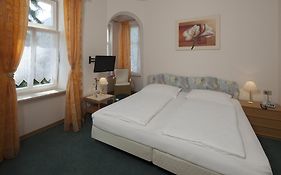 Hotel Des Alpes  3*