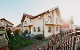 Pensiunea Alin Guest House Turda România