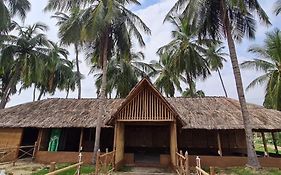 Coconut Tree Guest House Hampi  India