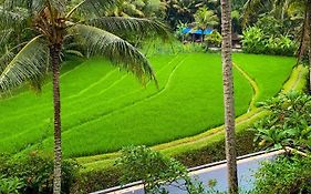 Umasari Rice Terrace Villa photos Exterior