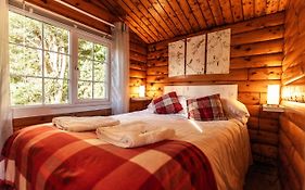 Welsh Retreat 2 Bedroom Log Cabin - Seren Property photos Exterior