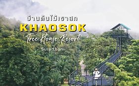 Khao Sok Tree House