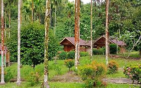 Green Lodge Tangkahan   Indonesia