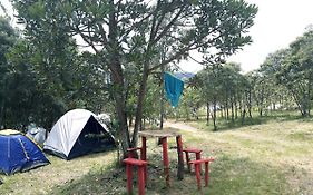 Camping Avohai