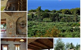 Villa Belvedere - Best Panoramic Sea View Apartments