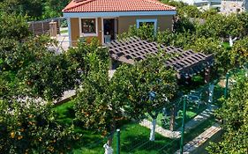 Desa Green Homes Epidaurus