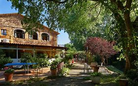 Mas Torrencito Pet Friendly Bed And Breakfast