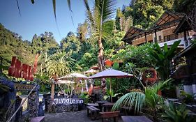 Jungle Inn Bukit Lawang