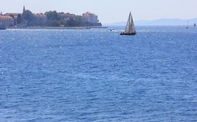 Punta Zadar