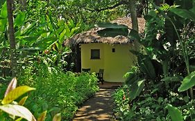 Moivaro Coffee Plantation Lodge photos Exterior