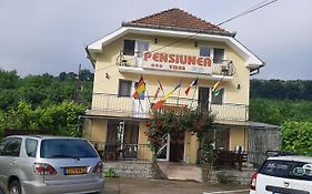 Pensiunea Vidra Guest House Băile Felix 2* România