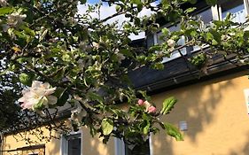 Am Apfelbaum, ein Ferienhaus im Hunsrück